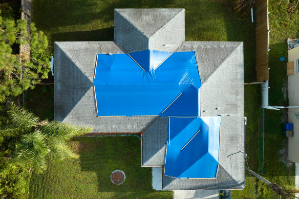 Best Roof Maintenance and Cleaning  in Bainbridge, PA